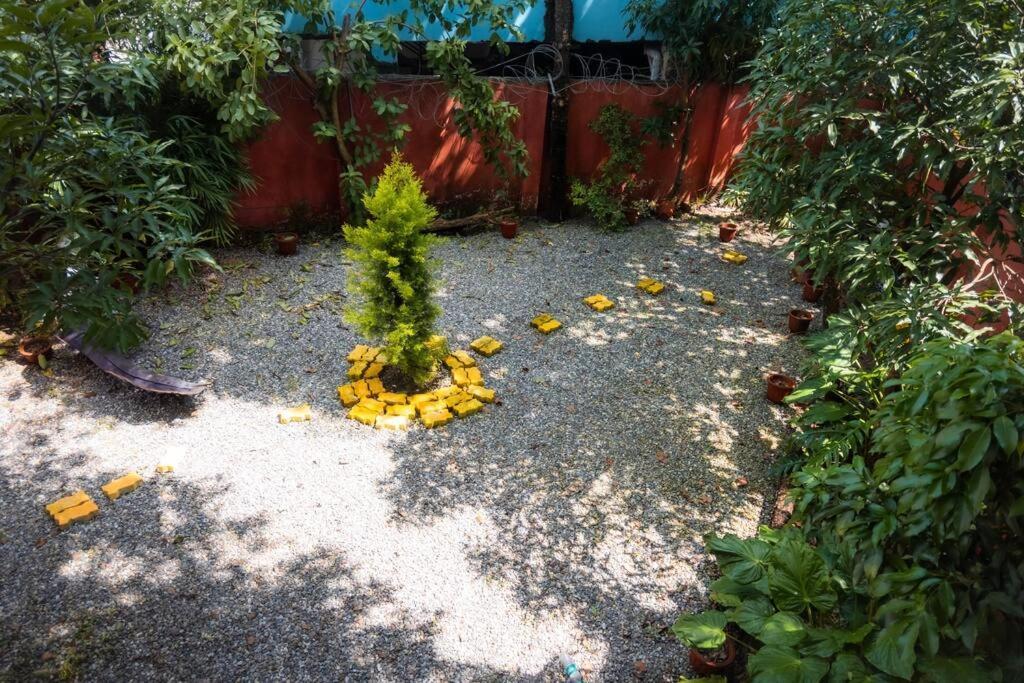 Blue Door Villa By Homeyhuts Rājpur Exterior foto